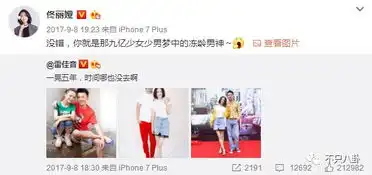 怼人的图片表情包佟丽娅