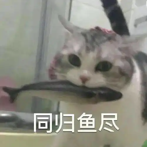  日常沙雕表情包