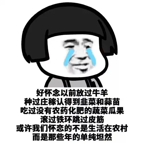 用炸毛掩饰秃头的事实 用炸毛掩饰秃头的事实