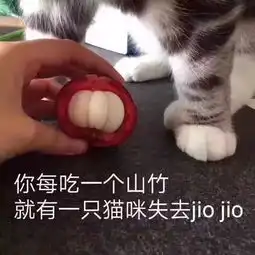  表情包多的同学,人缘总不会太差太准了