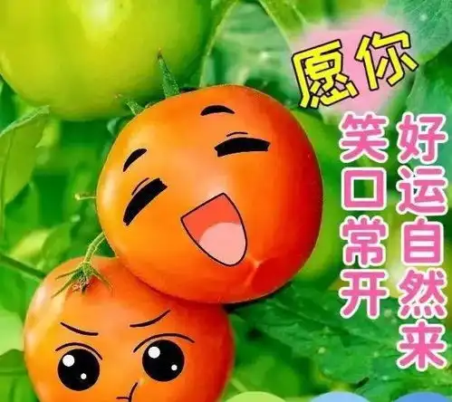 早上好表情包可爱守夜