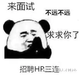  智通人才网听不懂你就等着当炮灰吧
