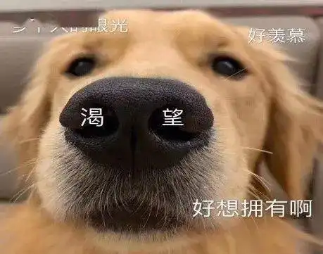  别人家的,图书馆应有尽有,食堂菜色齐全,考上了就是你的大学