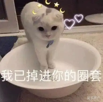  有哪些可以哄男朋友开心的表情包