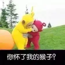  茉莉头条丨教主首次承认baby怀孕