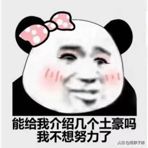 lolrngpdd以及旭旭宝宝惨被hac无聊哥骗说好的布加迪呢 lolrngpdd以及旭旭宝宝惨被hac无聊哥骗说好的布加迪呢