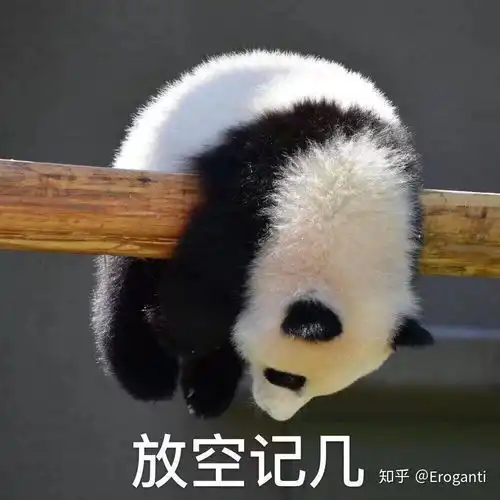 想我了吗表情包熊猫头猫