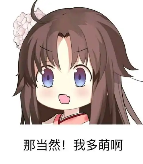  程序员忽悠女朋友玩gal