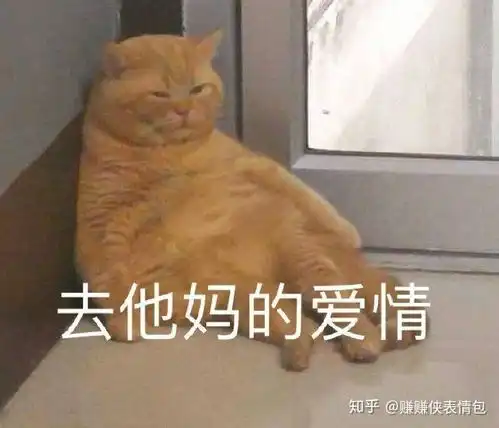  可爱表情包图片啃爪爪,让我进入你的世界好不好