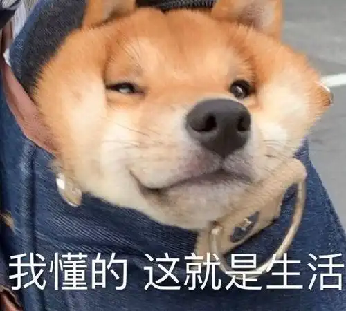  有哪些专门用来吐槽天气很热的沙雕文案