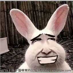  幸福乐章之定做吊坠继续懒羊羊家感谢老公的大力配合哈哈