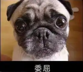 伍六七表情包素描狗狗