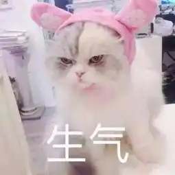  跟人撒娇专用表情包大全,收藏吧终有一天你用得着,哈哈