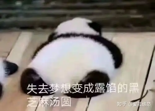  一些比较喜欢的表情包