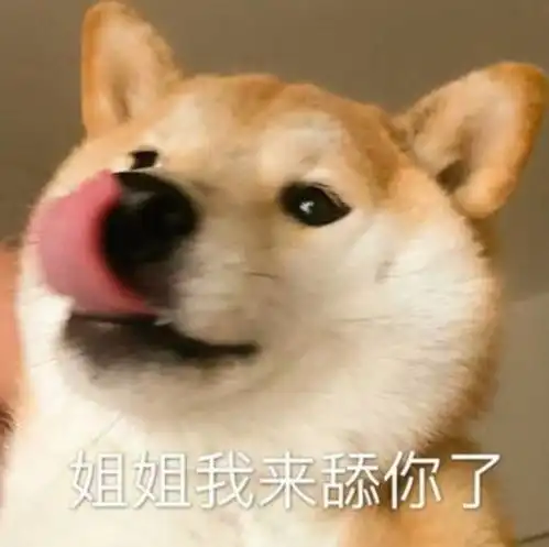 狗狗开心表情包图片舔狗