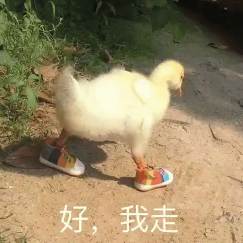  聊天斗图表情包精选
