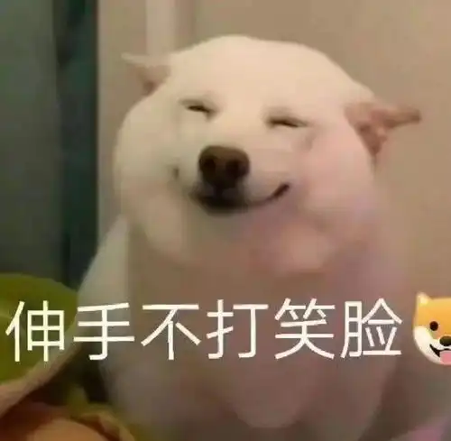  天生受宠,人缘好到可以被忽略不足的星座