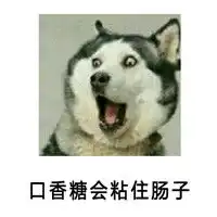  哈士奇惊讶表情包免费下载哈士奇惊讶表情包高清版下载v1.0绿色免费版当易网