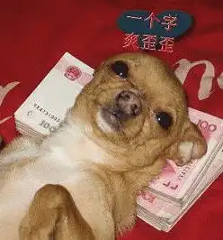  好像看见了一只小脚丫子