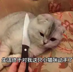  我是本次航班的机长程遇风,我受过专业训练,也有着丰富的应对经验,一定能把大家安全送回地面安娜