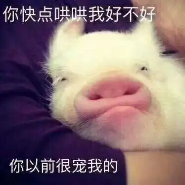  有一个戏精英语课代表是怎样的体验
