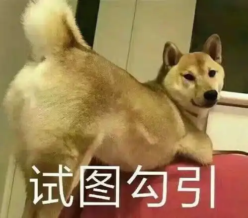  段子当代青年口头禅前三名