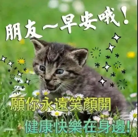  周三早上好问候祝福动态表情图片周三早安问候语温馨句子