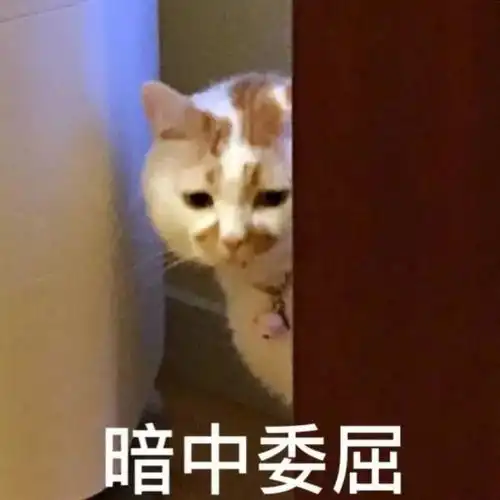  宁波家长竞选家委会也一样疯狂内情竟然是