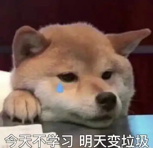  能消除网课压力的表情包们