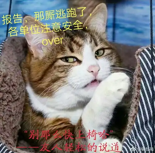  出山相关填词视频已下架的歌词及视频所用表情包总集