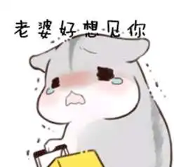  抖音哄老婆专用表情包大全听老婆的话表情包分享