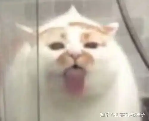 有哪些可爱又不失歹毒的表情包 有哪些可爱又不失歹毒的表情包