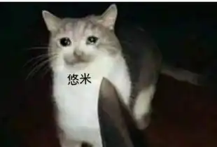  国外玩家总结lol十大经验真的是很真实了