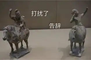 我tm表情包坐骑