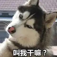  这次闯祸的不是二哈了狗子撞上兰博基尼,维修费要40万狗主人只赔...