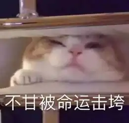 美女的烦恼表情包美女的