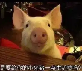  人到中年,高校教师的21个特征