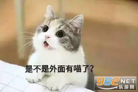 三只猫点头表情包动图gif三只猫点头表情包下载乐游网游戏下载 三只猫点头表情包动图gif三只猫点头表情包下载乐游网游戏下载