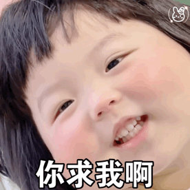 王铁丸表情包小懒猪别睡啦 王铁丸表情包小懒猪别睡啦