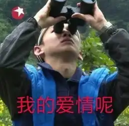  今日表情包出来玩啊,我去接你