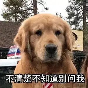  聊天敷衍专用表情包原来鱼有刺