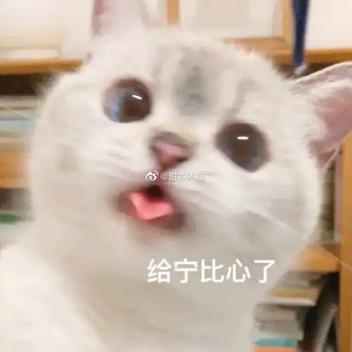 馋嘴的表情包搞笑表情包