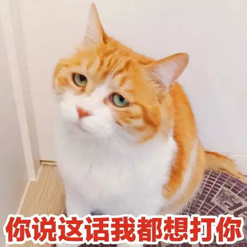  沙雕网友,在线发图