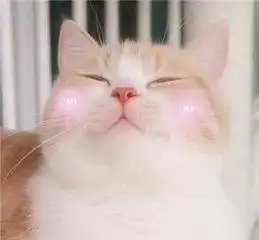  假期已过,但聪明人都选择这么旅行