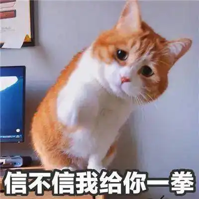  可爱的猫咪表情大全,请收藏备用