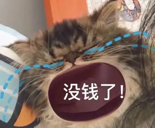  刚刚,final正式结束但留学生注意学费暴涨,有一件事千万别忘
