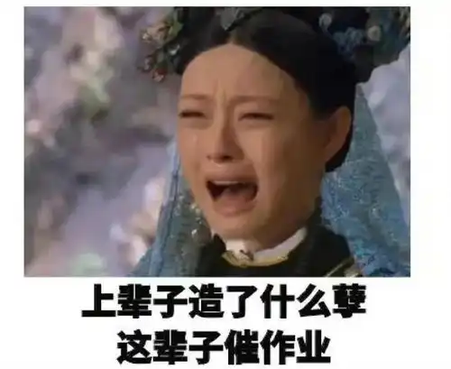 如何用表情包来表达该交作业啦 如何用表情包来表达该交作业啦