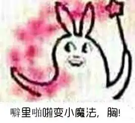  呆狐网隆胸后是什么手感