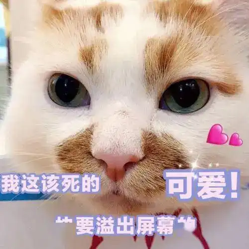 萌宠表情包丨一键收藏ta的可爱 萌宠表情包丨一键收藏ta的可爱