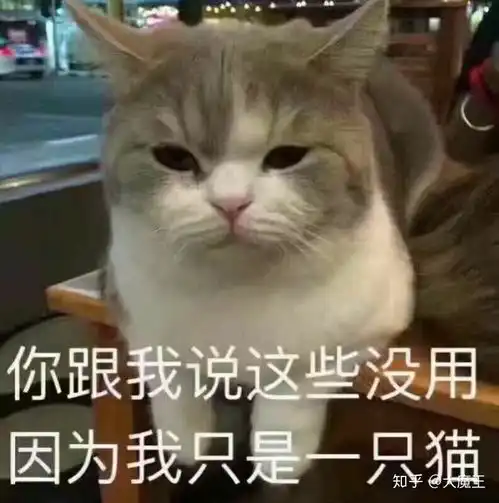  漫展集邮是什么意思